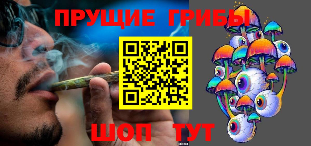 Галлюциногенные грибы Psilocybe  Галлюциногенные грибы Cubensis  Кимовск  Вход с VPN 